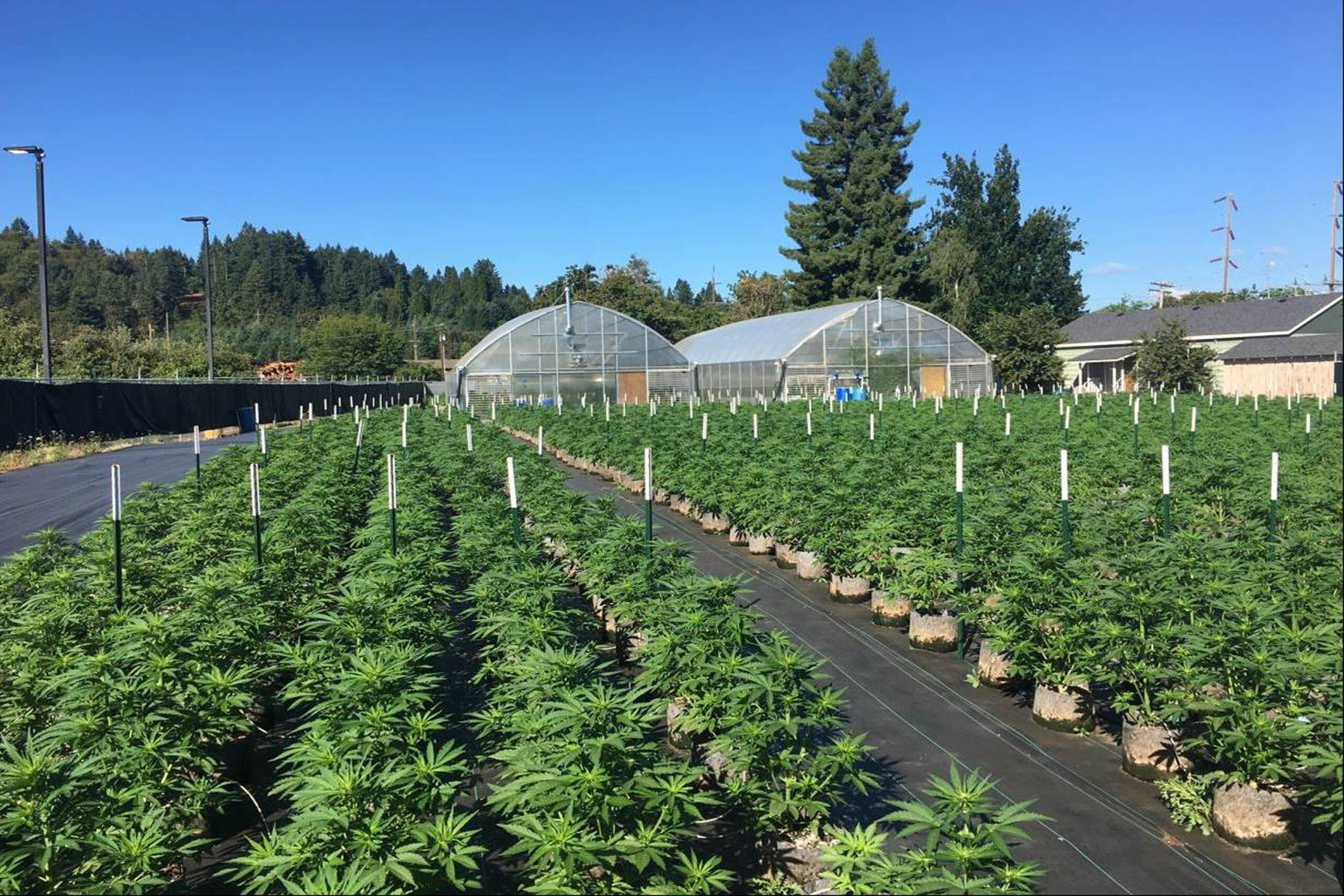 F1 SeedTech: Oregon Facility