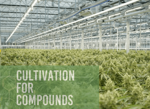 Cultivation for Compounds