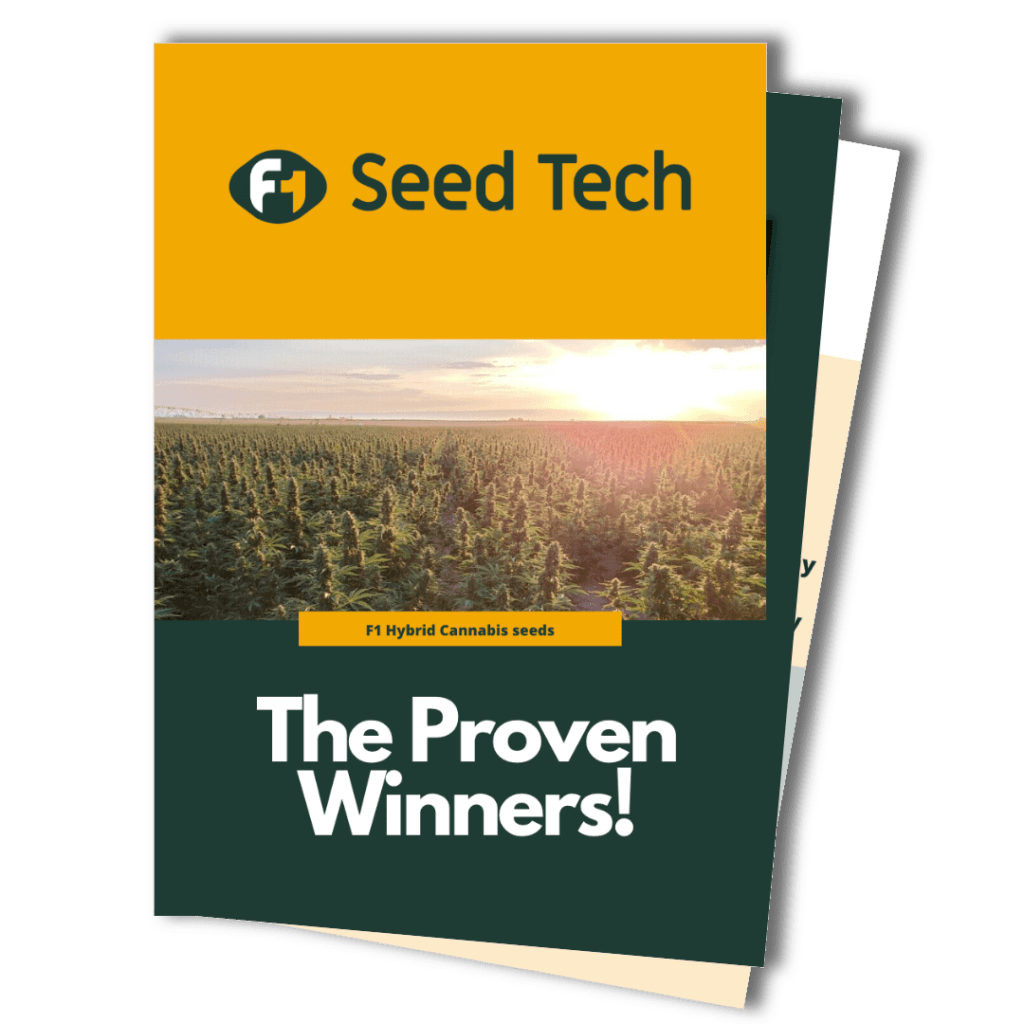 F1 Cannabis seeds