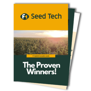 F1 Cannabis seeds