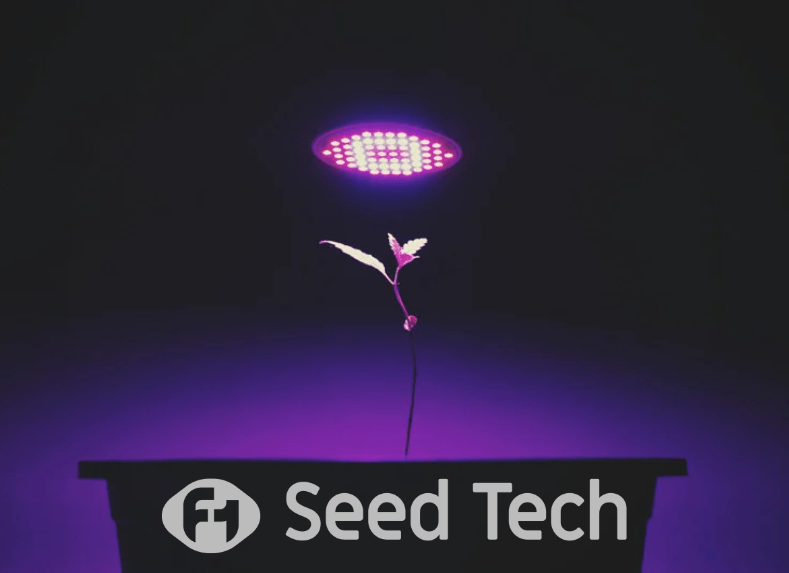 Lighting in Cannabis Cultivation
