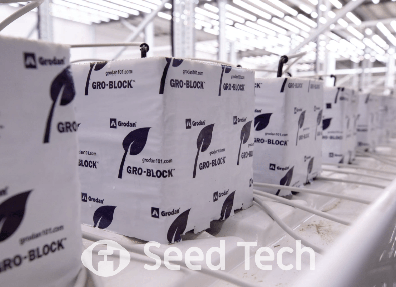 Grodan Substrates in Cannabis Cultivation